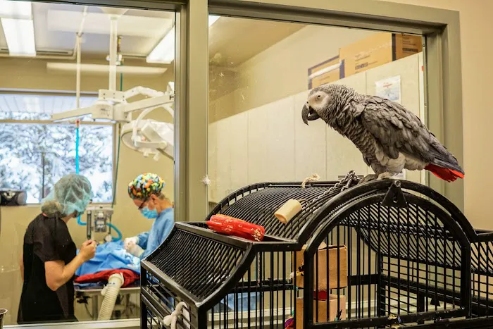 East Valley Animal Clinic 7