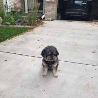 East Valley Animal Clinic: Ranzinger Kathy, DVM ico