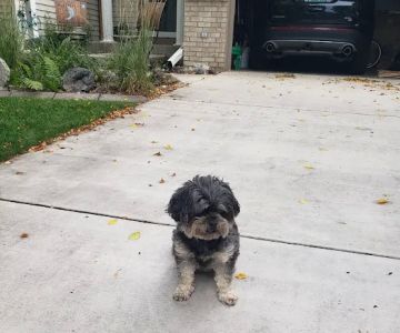 East Valley Animal Clinic: Ranzinger Kathy, DVM