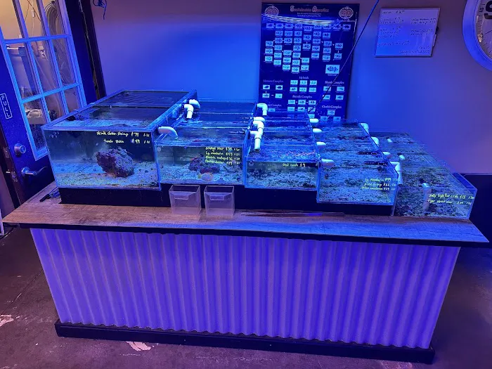 Reefkoi Corals LLC 12