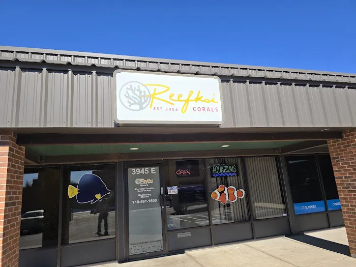 Reefkoi Corals LLC 12