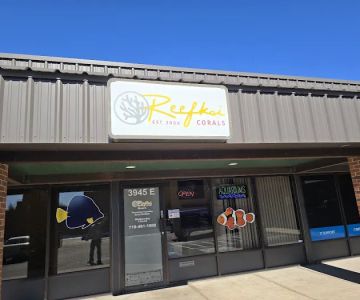 Reefkoi Corals LLC