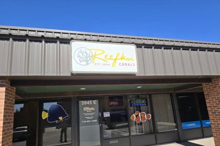 Reefkoi Corals LLC