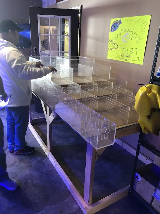 Reefkoi Corals LLC 12
