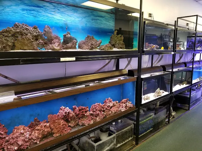 Seascape Aquatics 12