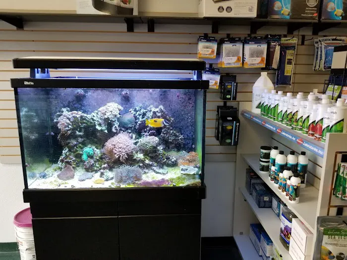 Seascape Aquatics 12