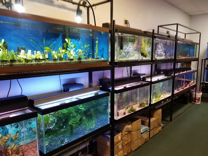 Seascape Aquatics 12