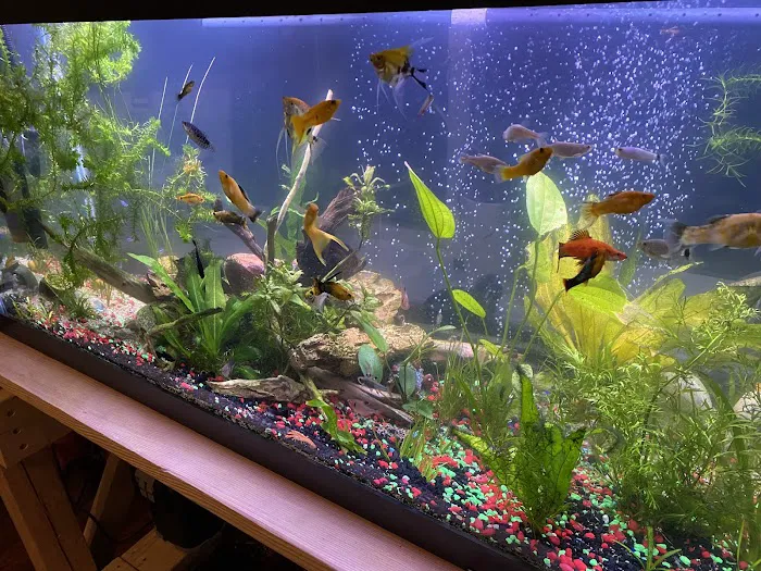 Seascape Aquatics 12