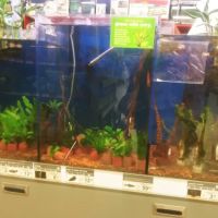 Petco ico