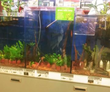 Petco