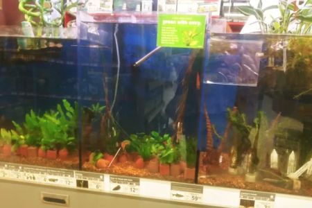 Petco