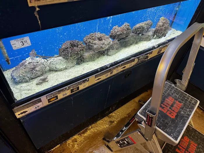 Petco 12