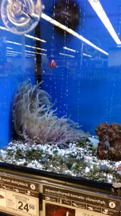 Petco 12