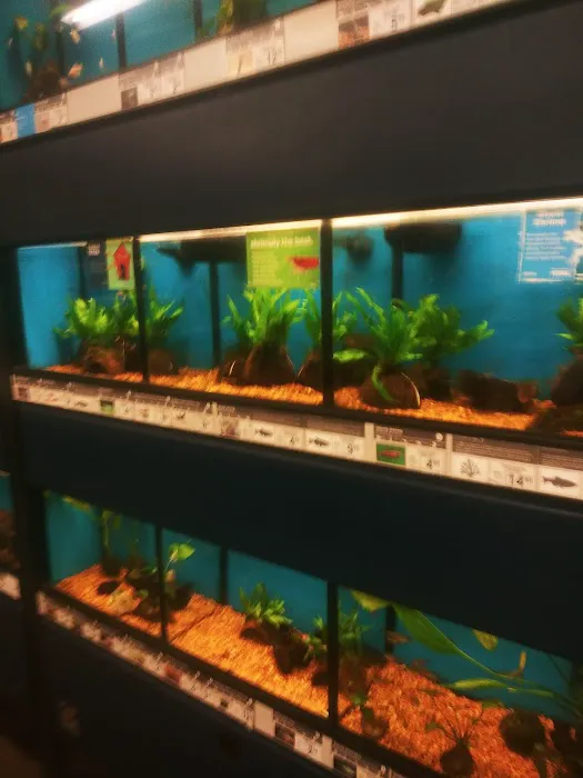 Petco 12