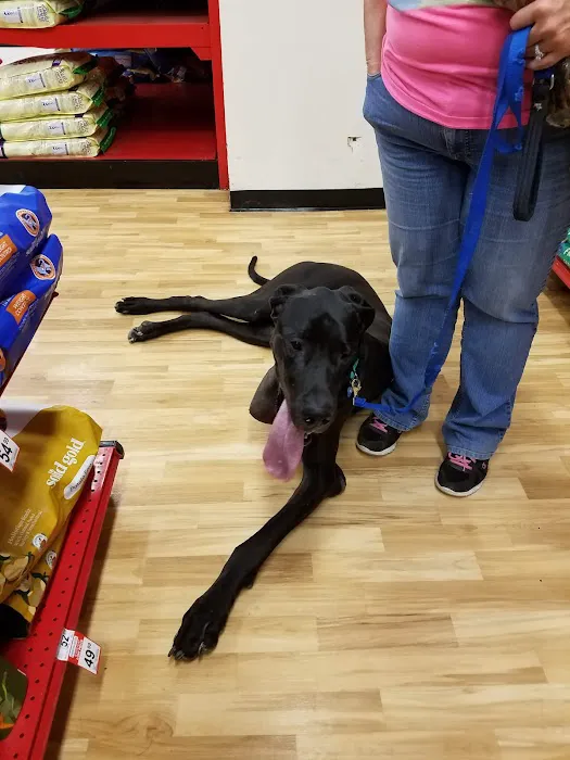 Petco 12