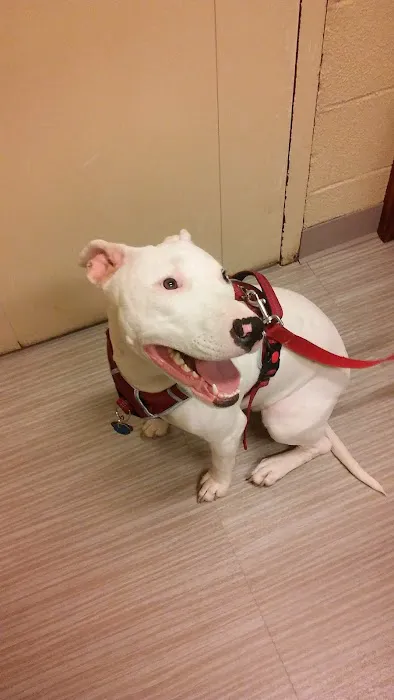 Heidt Veterinary Hospital 12