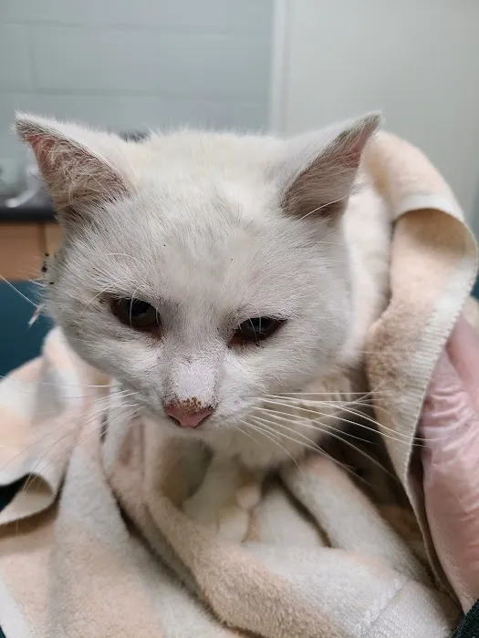 Heidt Veterinary Hospital 12