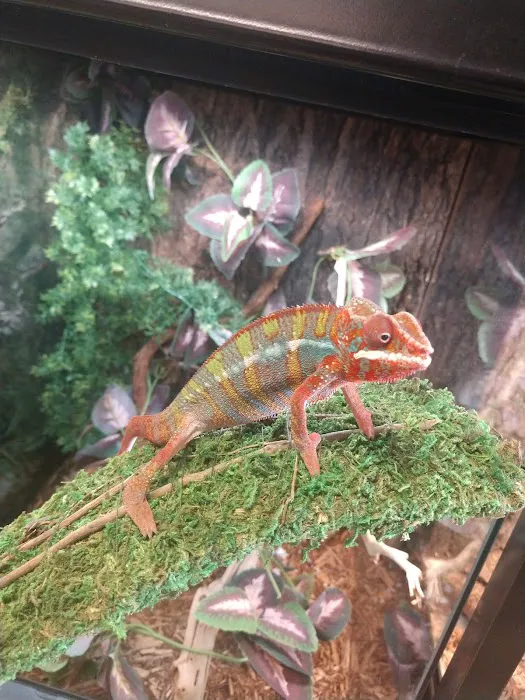 Scales 'N Tails Colorado Springs East 12