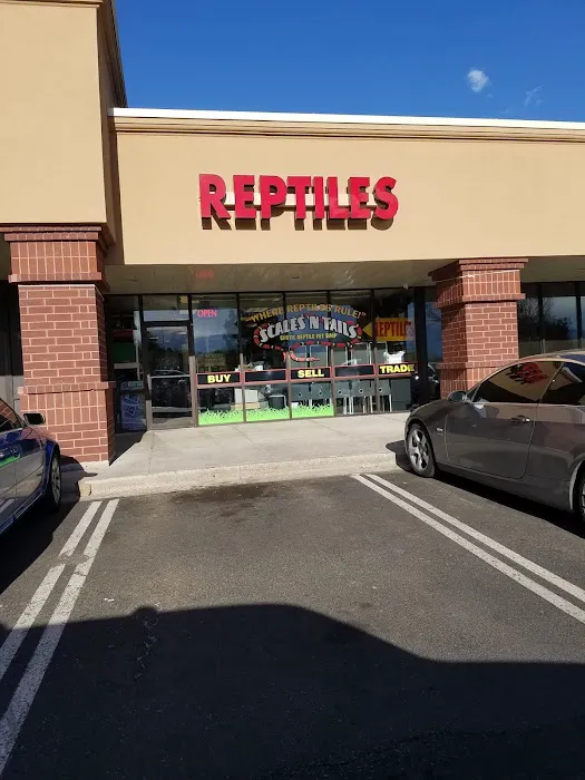 Scales 'N Tails Colorado Springs East 12