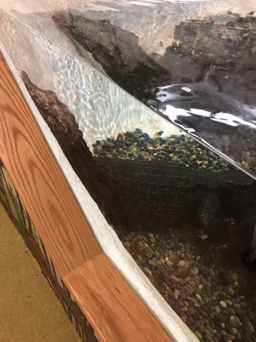 Scales 'N Tails Colorado Springs East 12