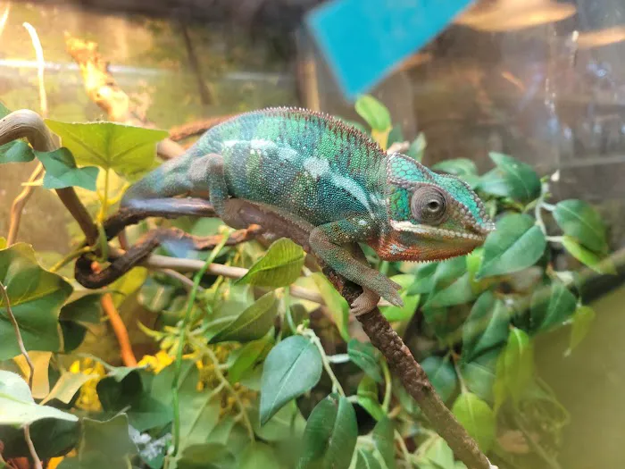 Scales 'N Tails Colorado Springs East 12