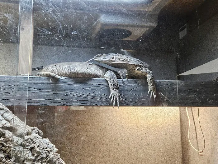 Scales 'N Tails Colorado Springs East 12