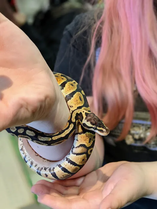Scales 'N Tails Colorado Springs 12