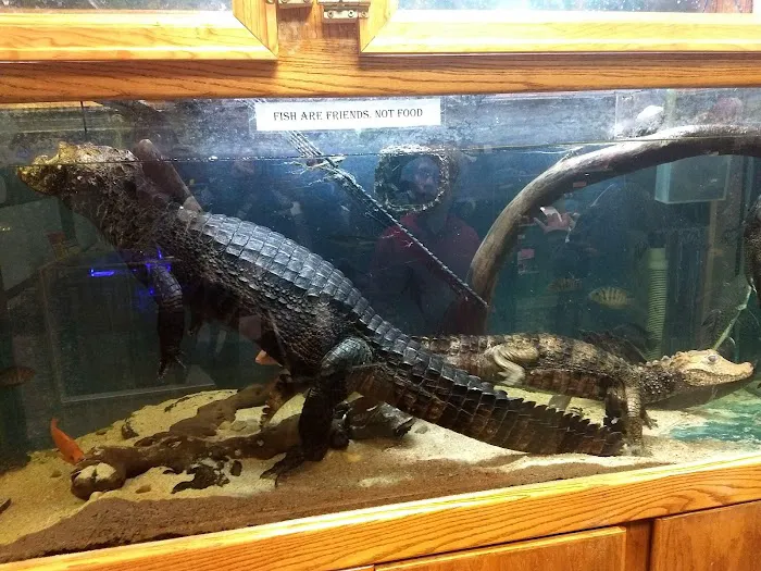 Scales 'N Tails Colorado Springs 12