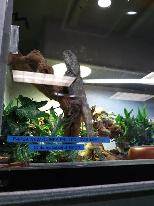 Scales 'N Tails Colorado Springs 12