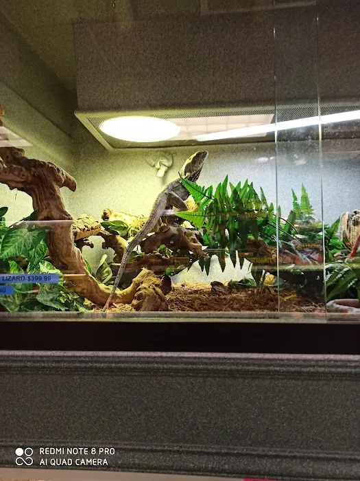 Scales 'N Tails Colorado Springs 12