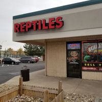 Scales 'N Tails Colorado Springs ico