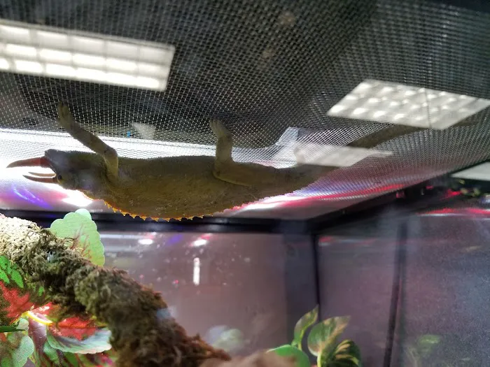 Scales 'N Tails Colorado Springs 12