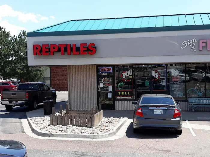 Reptiles 12