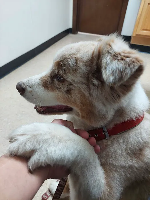 Shawnee Veterinary Hospital 12