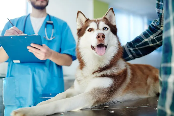 Shawnee Veterinary Hospital 12