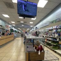 Pet City Pet Shops - Chapel Hills Mall, Colorado ico