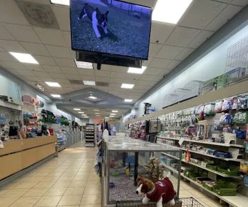 Pet City Pet Shops - Chapel Hills Mall, Colorado