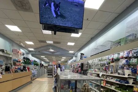Pet City Pet Shops - Chapel Hills Mall, Colorado
