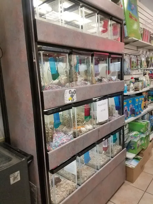 Pet City Pet Shops - Chapel Hills Mall, Colorado 12