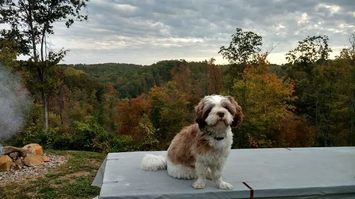 Metz Petz Veterinary Clinic Shawnee 12