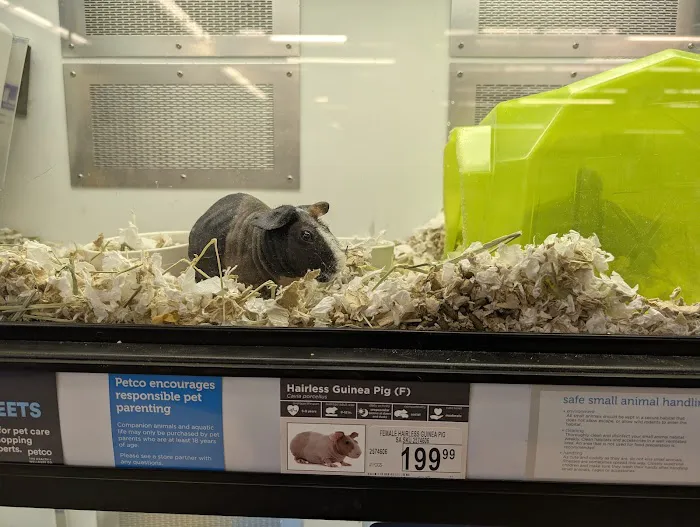 Petco 12