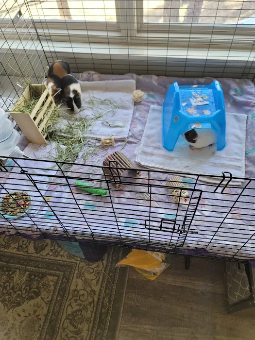 Petco 12