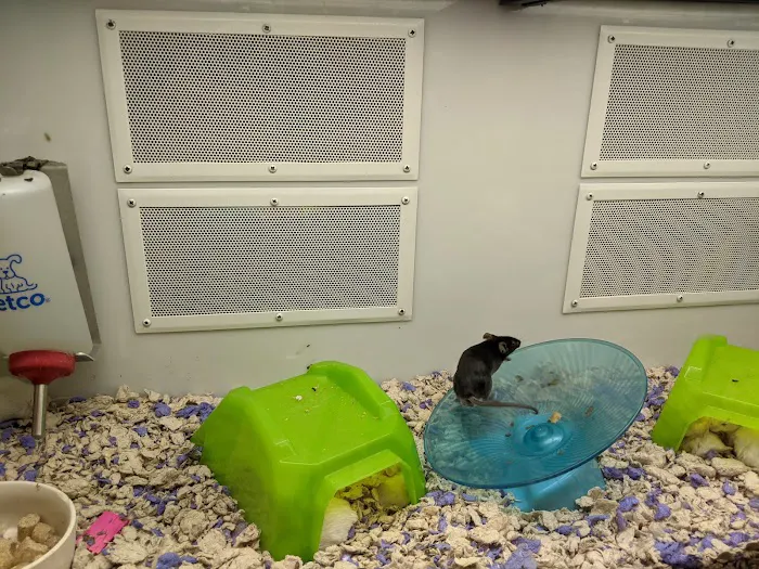 Petco 12
