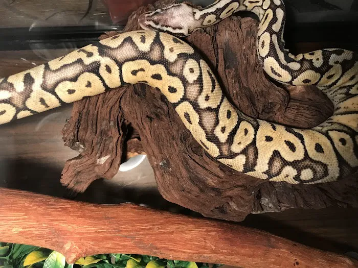 Petco 12