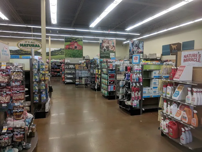 Petco 12