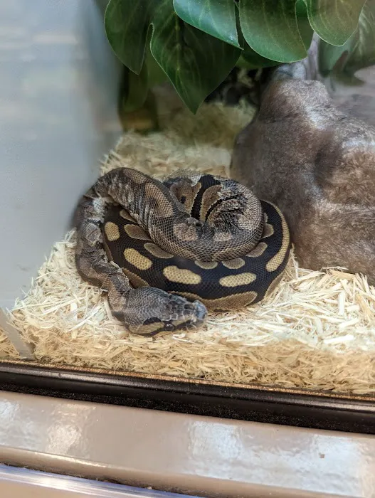 Petco 12