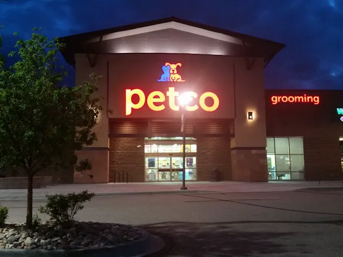 Petco 12