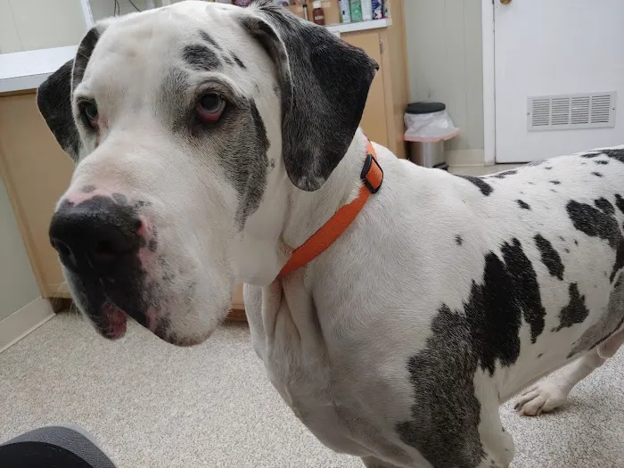 Baker Animal Hospital 12