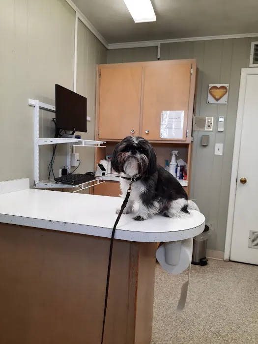 Baker Animal Hospital 12