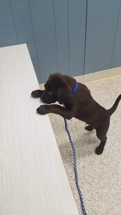 Baker Animal Hospital 12
